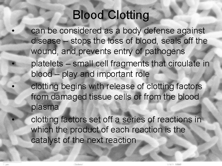 Blood Clotting • • can be considered as a body defense against disease –