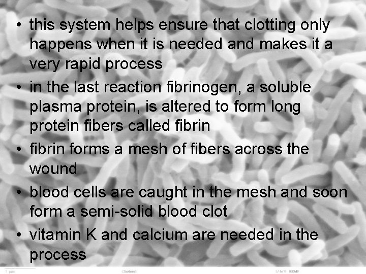  • this system helps ensure that clotting only happens when it is needed