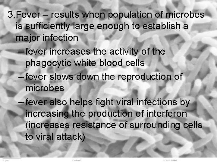 3. Fever – results when population of microbes is sufficiently large enough to establish