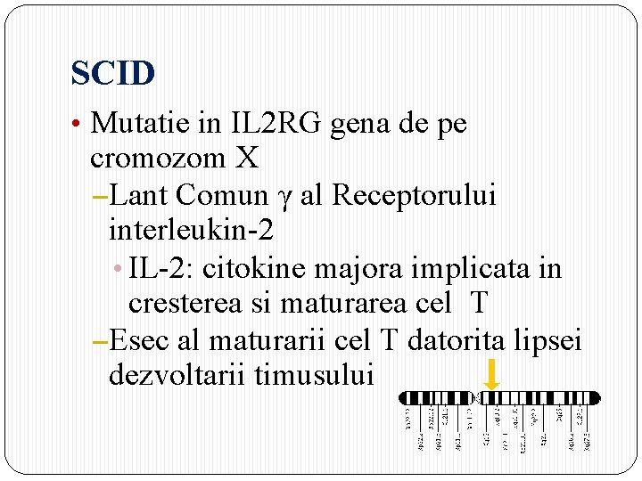 SCID • Mutatie in IL 2 RG gena de pe cromozom X –Lant Comun