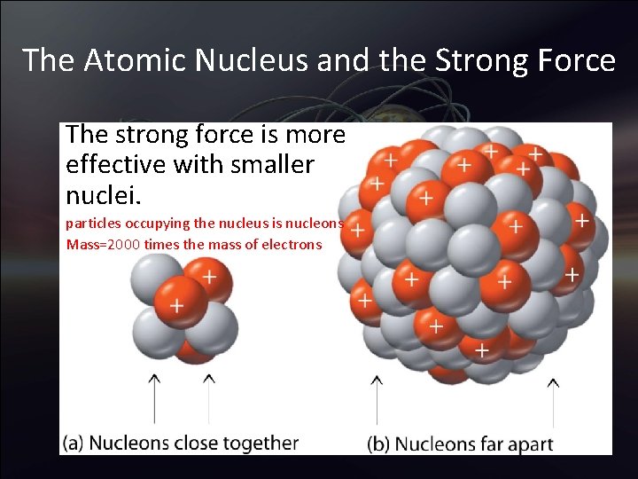 The Atomic Nucleus and the Strong Force The strong force is more effective with