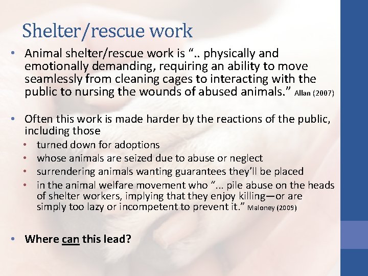 Coping with working with animals in shelters rescue