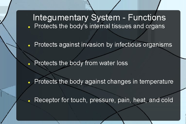 Integumentary System - Functions Protects the body's internal tissues and organs Protects against invasion