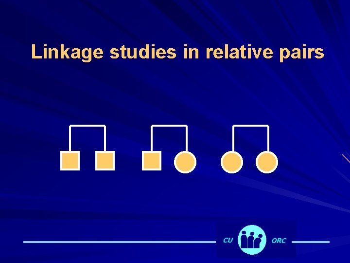 Linkage studies in relative pairs 