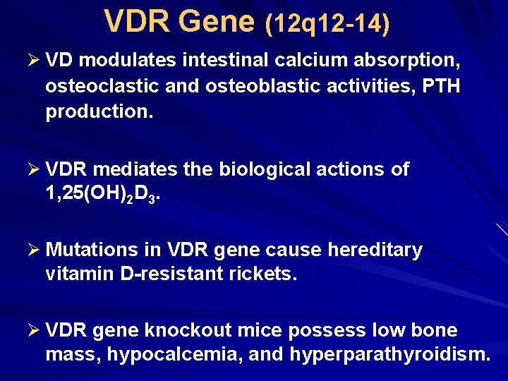 VDR Gene (12 q 12 -14) Ø VD modulates intestinal calcium absorption, osteoclastic and