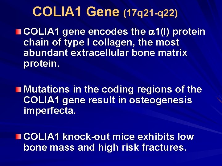 COLIA 1 Gene (17 q 21 -q 22) COLIA 1 gene encodes the 1(I)