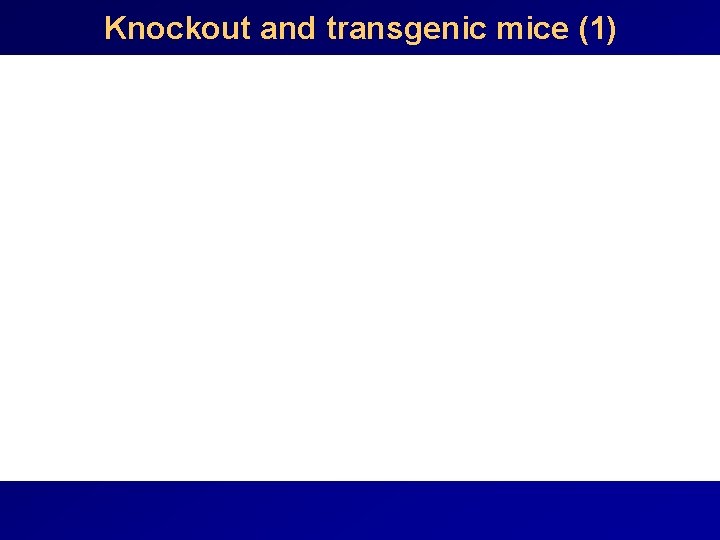 Knockout and transgenic mice (1) 