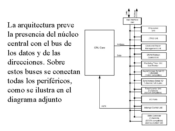 La arquitectura preve la presencia del núcleo central con el bus de los datos