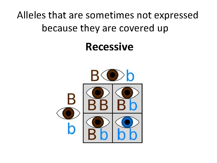 Alleles that are sometimes not expressed because they are covered up Recessive 