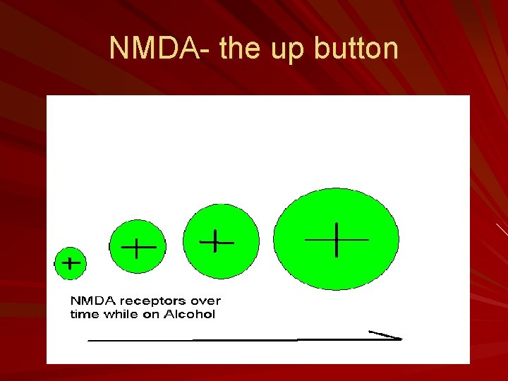 NMDA- the up button 
