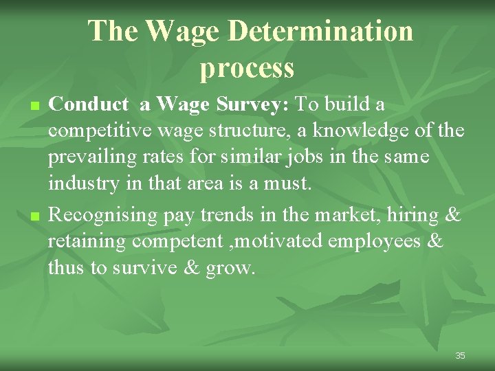 The Wage Determination process n n Conduct a Wage Survey: To build a competitive