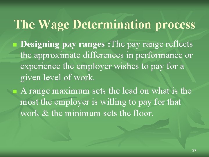 The Wage Determination process n n Designing pay ranges : The pay range reflects