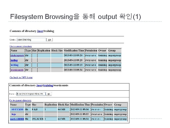 Filesystem Browsing을 통해 output 확인(1) 