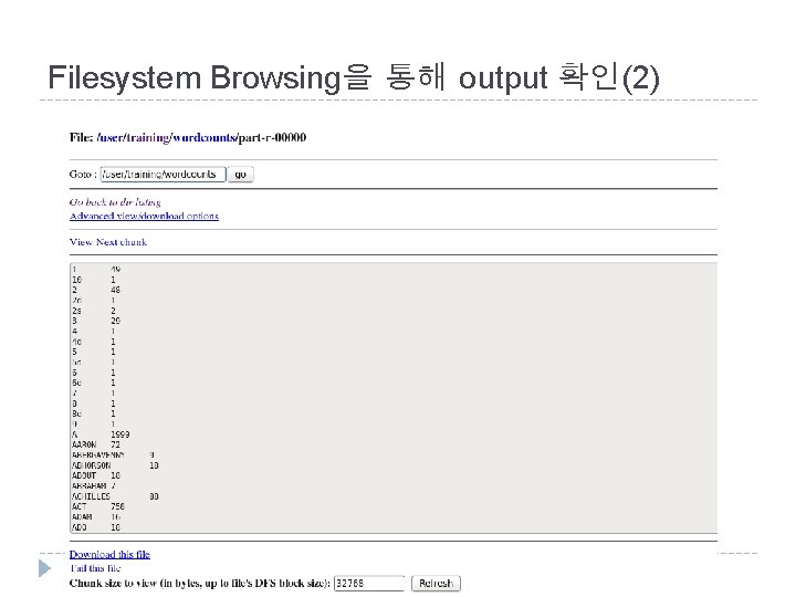 Filesystem Browsing을 통해 output 확인(2) 