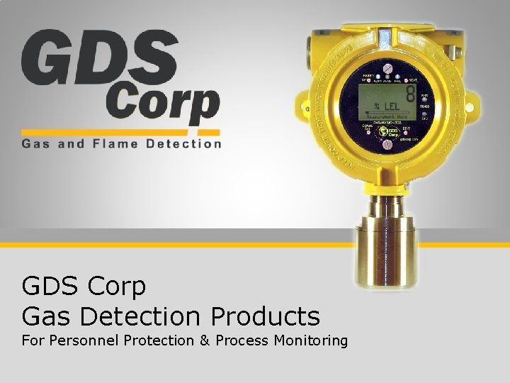 GDS Corp Gas Detection Products For Personnel Protection