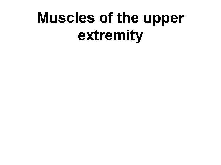 Muscles of the upper extremity 