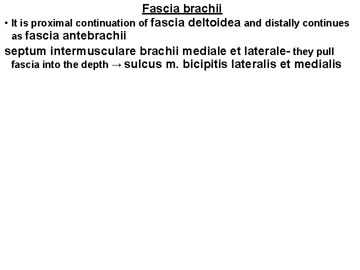 Fascia brachii • It is proximal continuation of fascia deltoidea and distally continues as