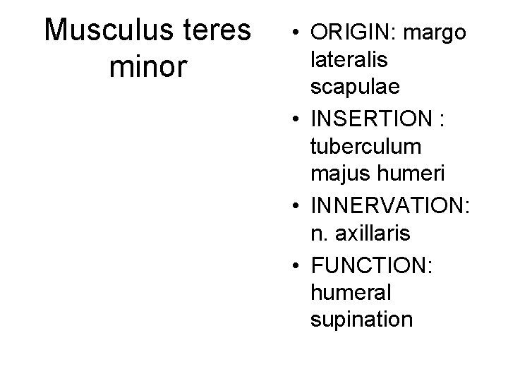 Musculus teres minor • ORIGIN: margo lateralis scapulae • INSERTION : tuberculum majus humeri