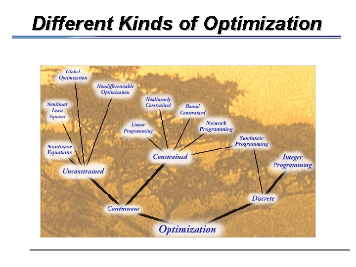 Different Kinds of Optimization 
