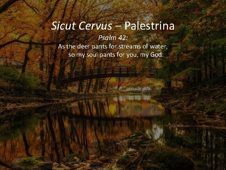 Sicut Cervus – Palestrina Psalm 42: As the deer pants for streams of water,