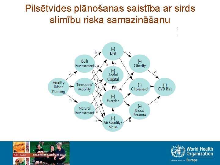 Pilsētvides plānošanas saistība ar sirds slimību riska samazināšanu 