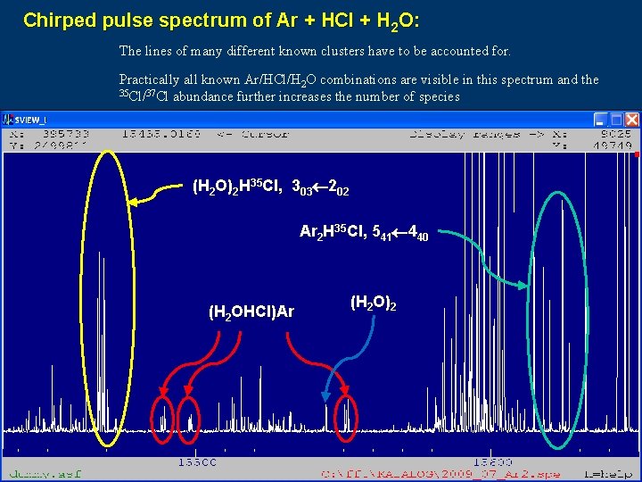 Chirped pulse spectrum of Ar + HCl + H 2 O: The lines of