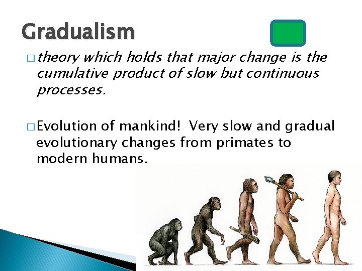 Gradualism � theory which holds that major change is the cumulative product of slow