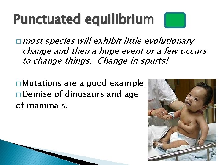 Punctuated equilibrium � most species will exhibit little evolutionary change and then a huge
