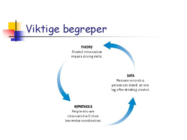 Viktige begreper 