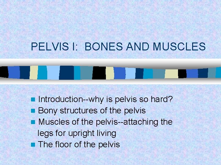 PELVIS I: BONES AND MUSCLES Introduction--why is pelvis so hard? n Bony structures of