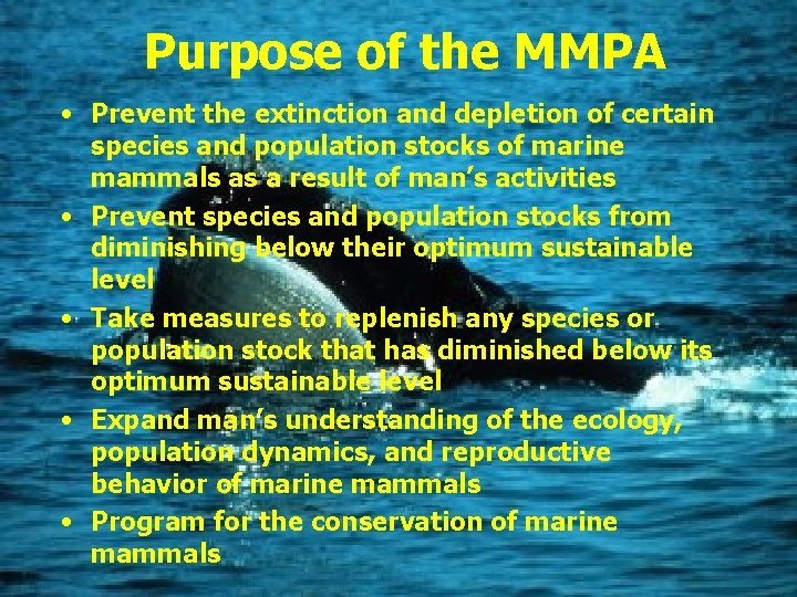 Purpose of the MMPA • Prevent the extinction and depletion of certain species and