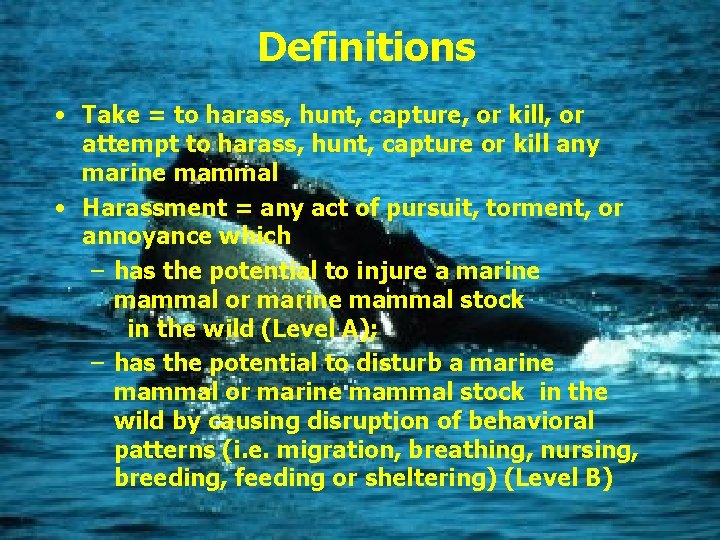 Definitions • Take = to harass, hunt, capture, or kill, or attempt to harass,