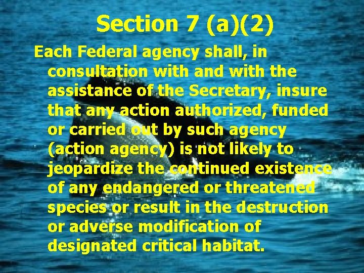 Section 7 (a)(2) Each Federal agency shall, in consultation with and with the assistance
