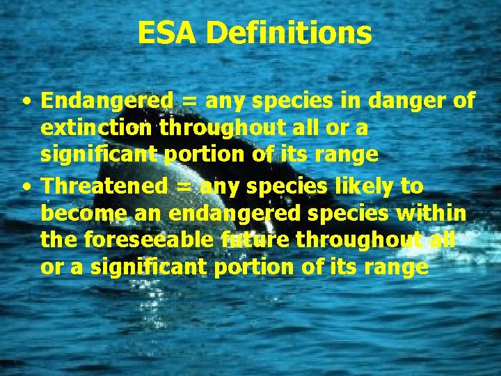 ESA Definitions • Endangered = any species in danger of extinction throughout all or