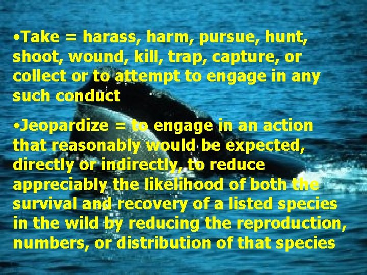  • Take = harass, harm, pursue, hunt, shoot, wound, kill, trap, capture, or