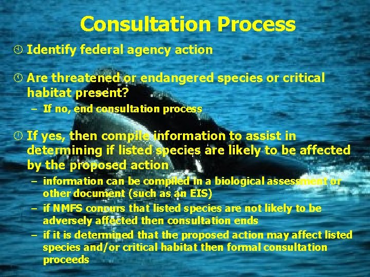Consultation Process À Identify federal agency action Á Are threatened or endangered species or