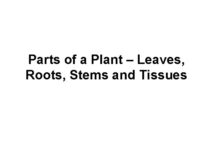 Parts of a Plant – Leaves, Roots, Stems and Tissues 