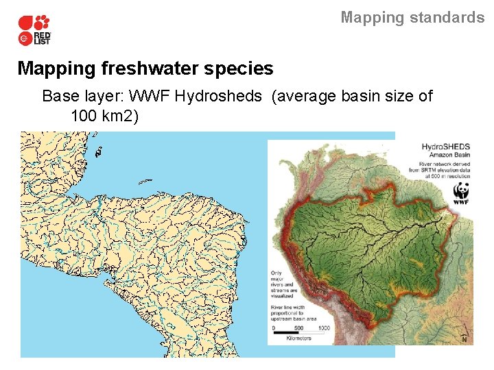 Mapping standards Mapping freshwater species Base layer: WWF Hydrosheds (average basin size of 100