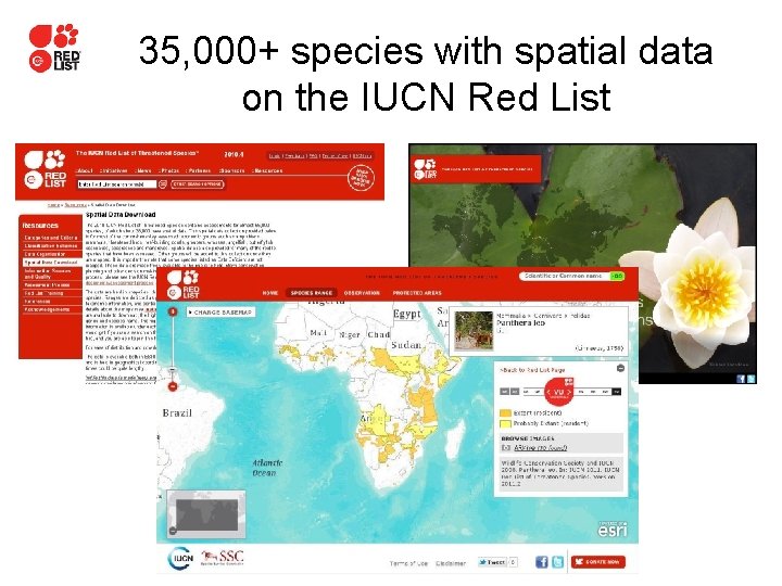 35, 000+ species with spatial data on the IUCN Red List 