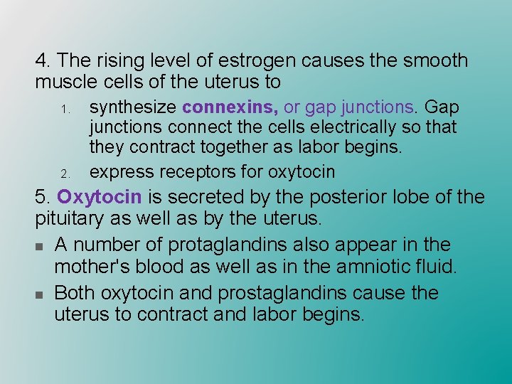 4. The rising level of estrogen causes the smooth muscle cells of the uterus