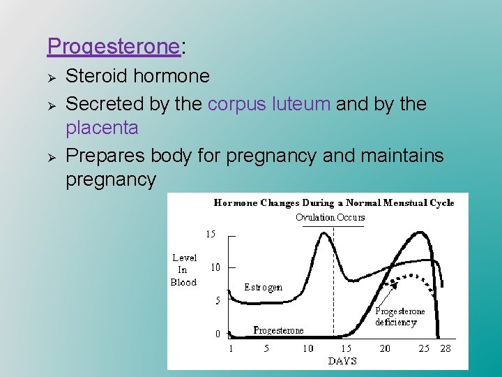 Progesterone: Progesterone Ø Ø Ø Steroid hormone Secreted by the corpus luteum and by