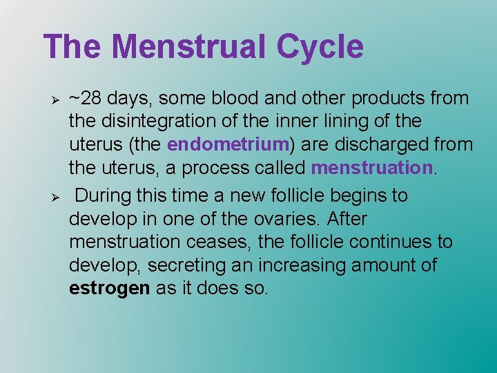 The Menstrual Cycle Ø Ø ~28 days, some blood and other products from the