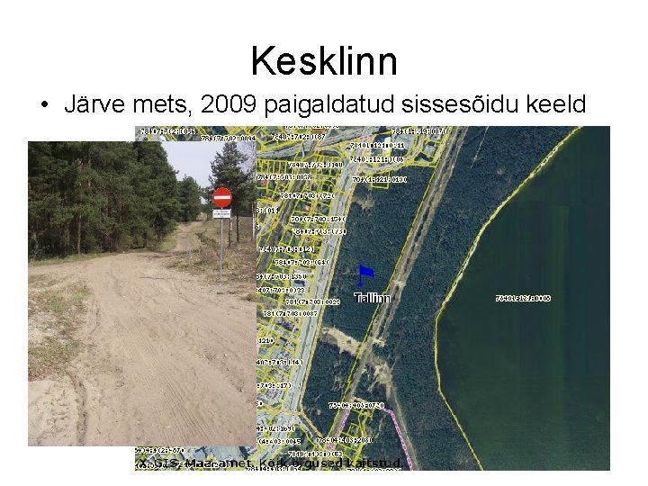 Kesklinn • Järve mets, 2009 paigaldatud sissesõidu keeld 