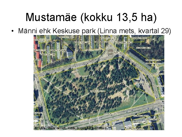 Mustamäe (kokku 13, 5 ha) • Männi ehk Keskuse park (Linna mets, kvartal 29)