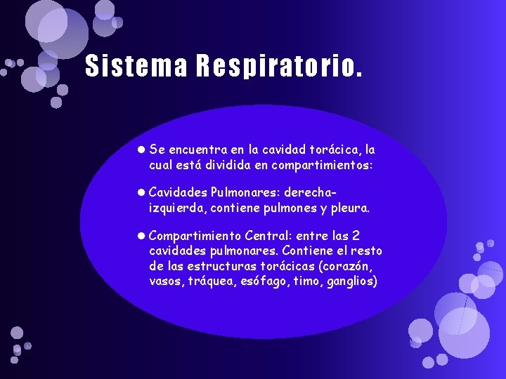 Sistema Respiratorio. Se encuentra en la cavidad torácica, la cual está dividida en compartimientos: