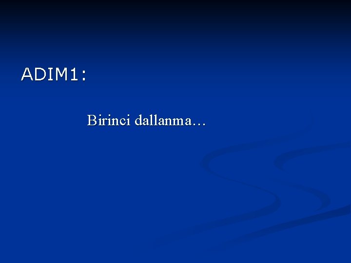 ADIM 1: Birinci dallanma… 