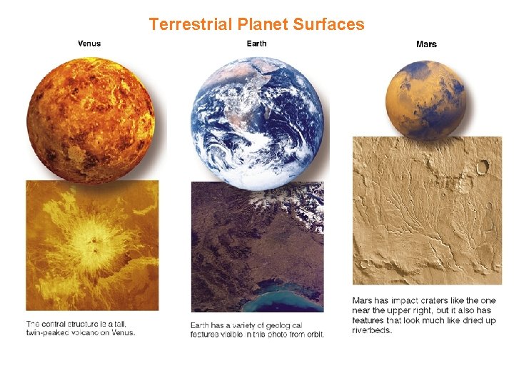Terrestrial Planet Surfaces 
