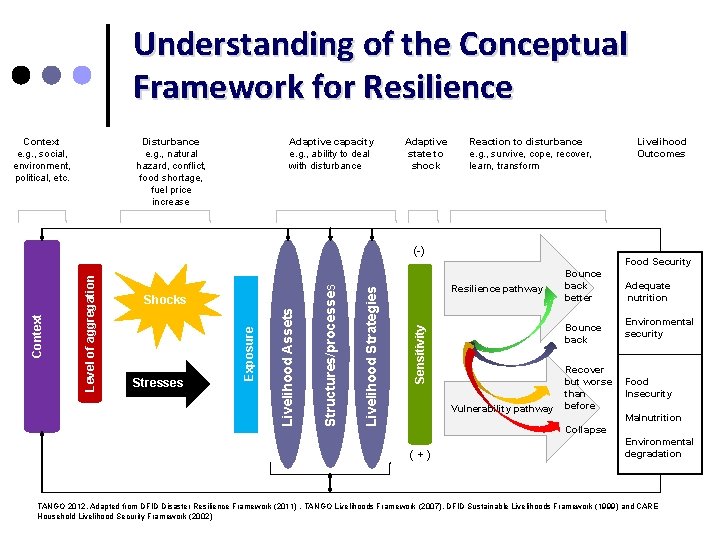 Understanding of the Conceptual Framework for Resilience Context e. g. , social, environment, political,