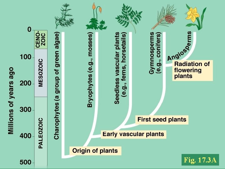 Fig. 17. 3 A 