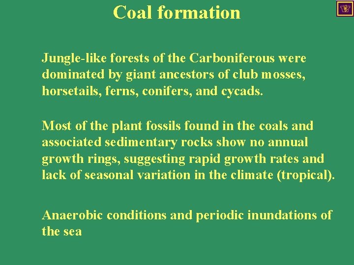 Coal formation Jungle-like forests of the Carboniferous were dominated by giant ancestors of club